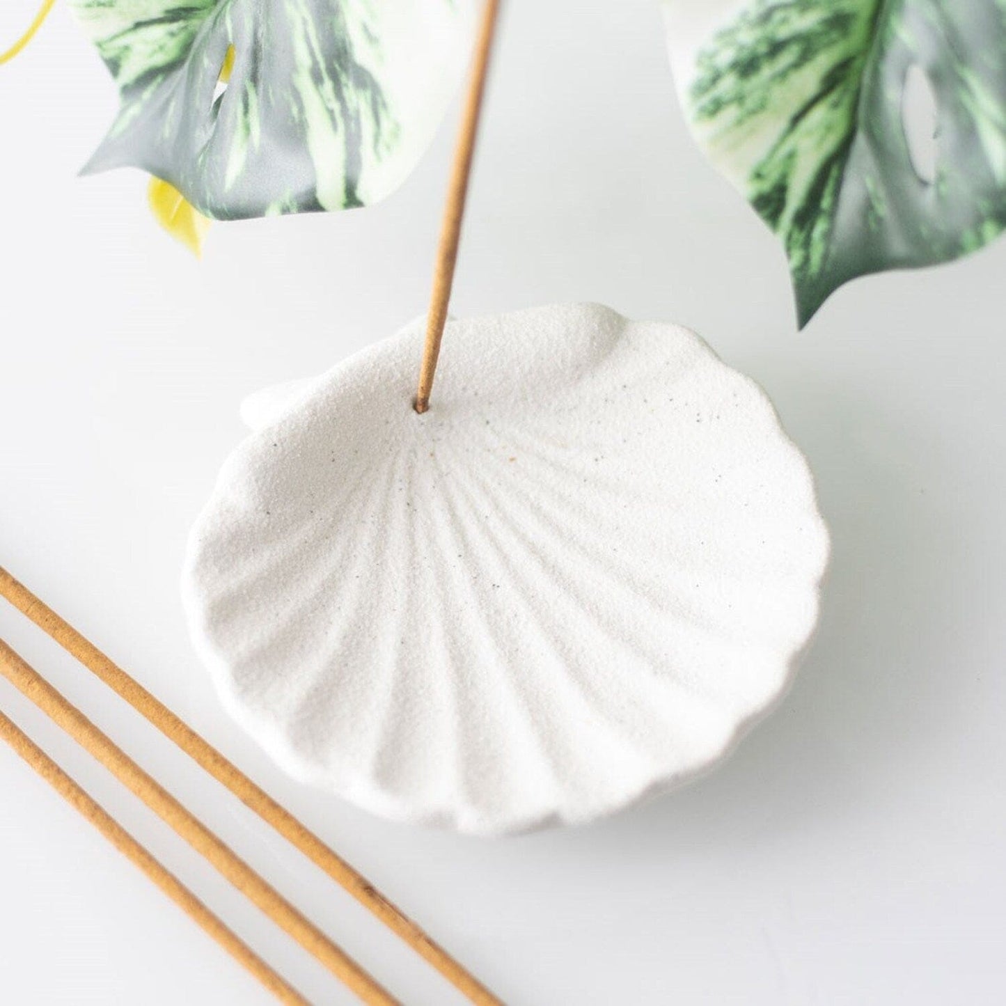 De Lacy at Home Seashell Incense Stick Holder