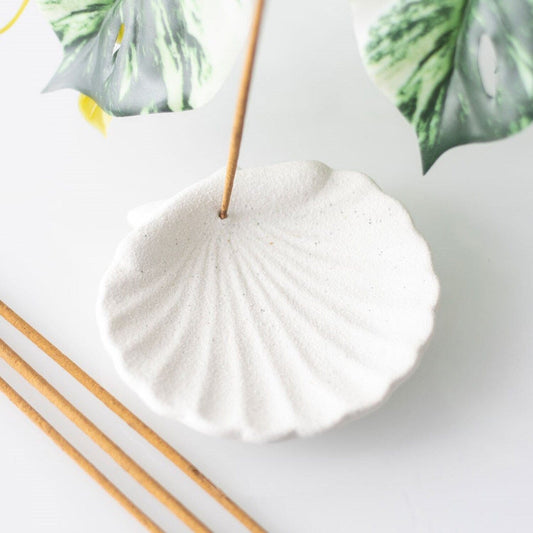 De Lacy at Home Seashell Incense Stick Holder