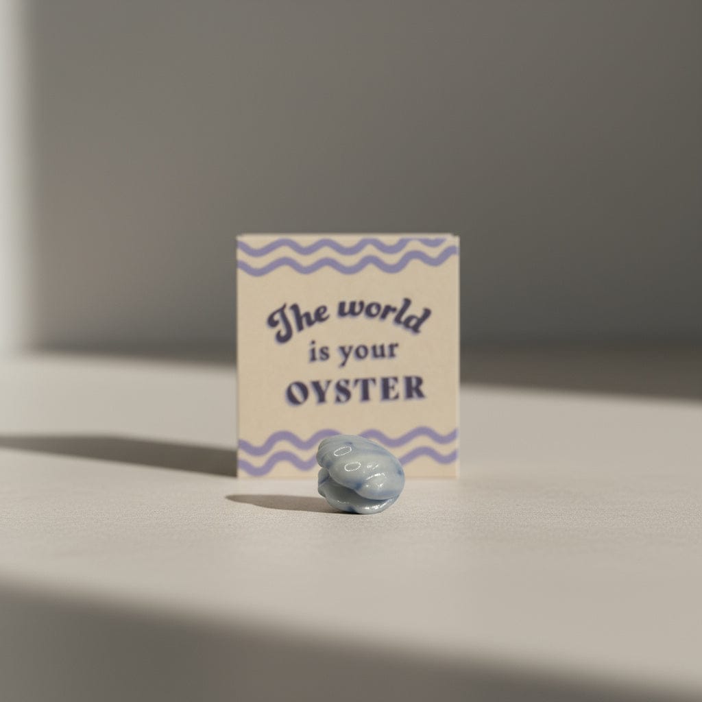 De Lacy at Home The World is your Oyster Matchbox Pocket Hug